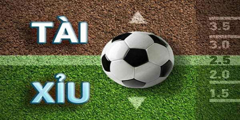 Các lời khuyên thiết yếu khi chơi cược